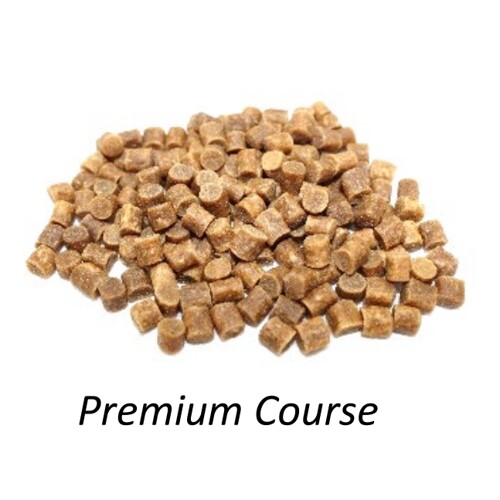 Premium Course Feed