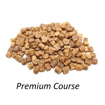 Premium Course Feed